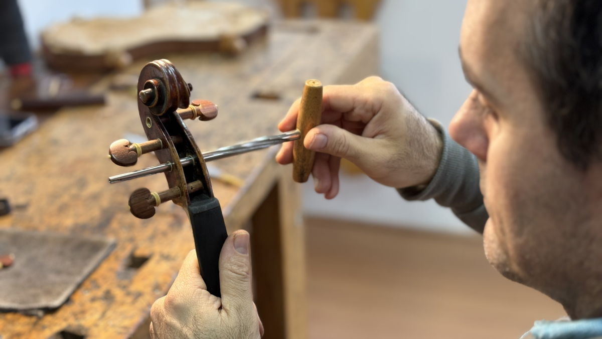 Cravelhas encaixadas na caixa de um violino